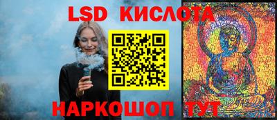 гашик Камышлов
