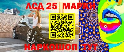 гашик Камышлов