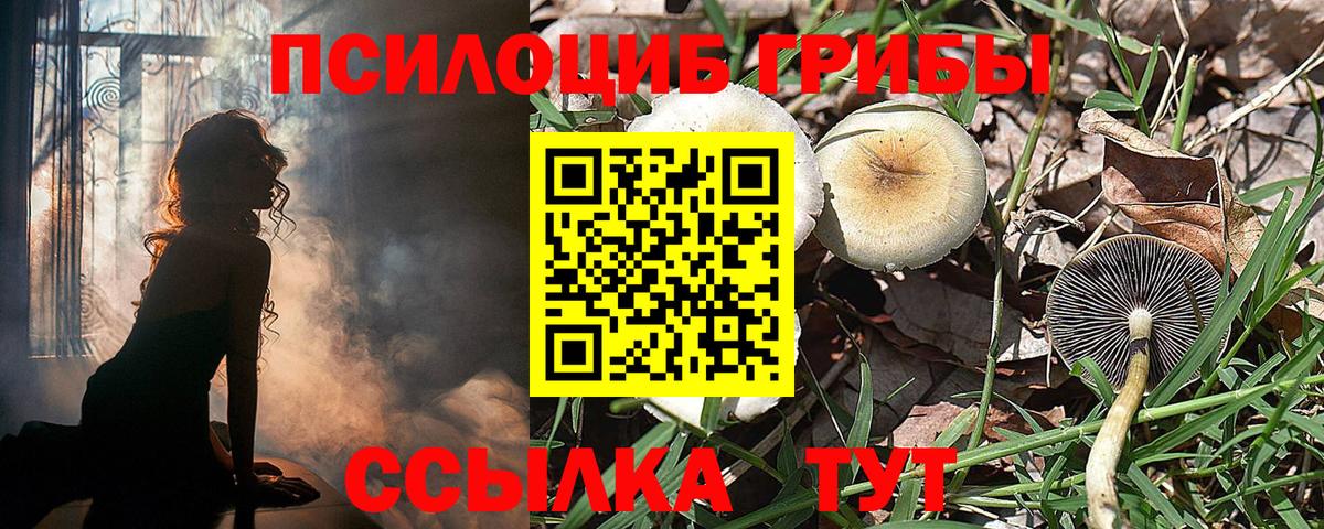 Галлюциногенные грибы Psilocybine cubensis Чапаевск