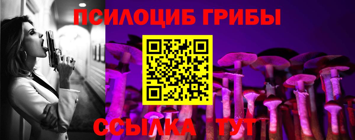 Чапаевск  Галлюциногенные грибы Cubensis  Галлюциногенные грибы Psilocybe  Вход с VPN 